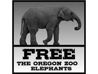 Free Oregon Zoo Elephants