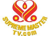 Supreme Master TV