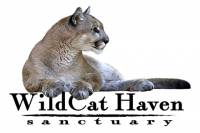 Wildcat Haven